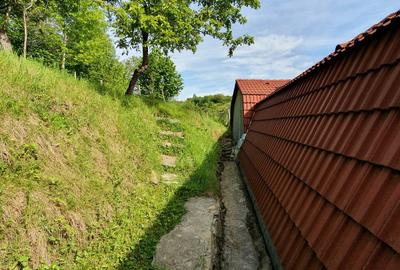 Vind vila in satul ROD- Pe drumul TRANSALPINA - 3