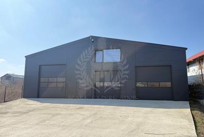 Hala depozitare/ productie 250 mp de inchiriat, Tatarani, acces TIR - 8