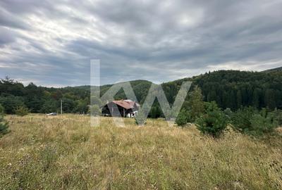 Teren de vanzare la 35 km de Brasov, perfect pentru casa de vis! - 1