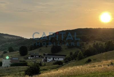 Teren intravilan 1500 mp, Salicea - 4