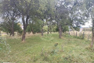 Teren Construcții intravilan de 2500 mp, în Mijlocenii Bârgăului