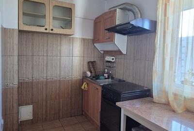 Apartament 2 camere, mobilat, utilat, Campia Libertatii, pet friendly - 9