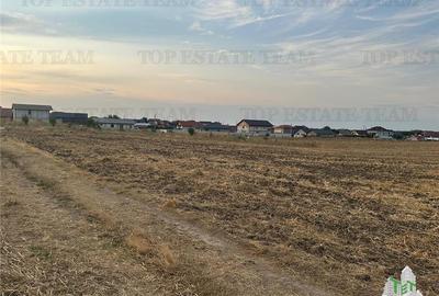 TEREN 2500MP BALACEANCA - 4