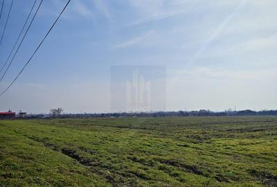 Teren de Vanzare  Caciulati Ilfov - 3