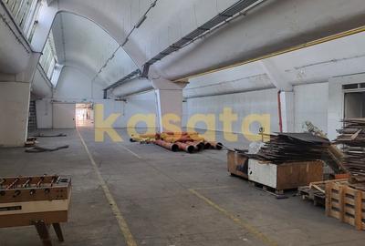 Spatiu de depozitare/productie de inchiriat-Pantelimon - 2