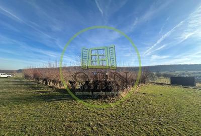 Teren Construcții intravilan de 1100 mp, în Rășinari