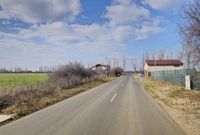 Teren de vanzare in Silistea Snagovului - 13.800 mp. - 3