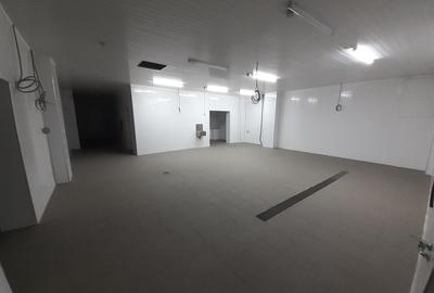 Hala - flux DSV - domeniu alimentar - productie sau catering - 7