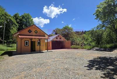 Vila de vanzare in Breaza-Nistoresti cu 7068 mp - 50