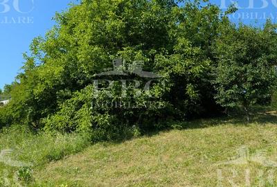 Teren intravilan 4600 mp cu front de 25 m pe strada Odobesti - 3