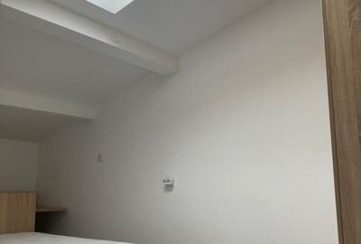Apartament 3 camere mansardat Calea Calarasilor cu gradina A9 - 8