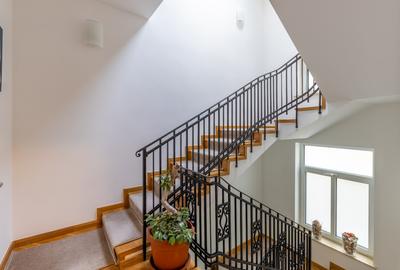 Vila zona Kiseleff-Aviatorilor - 12