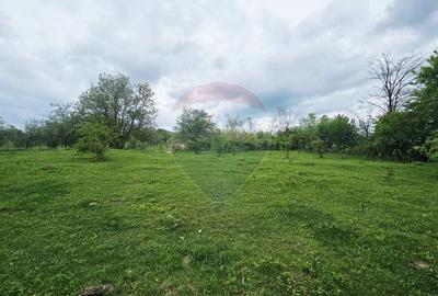 Teren Construcții intravilan de 5350 mp, în Dobreni