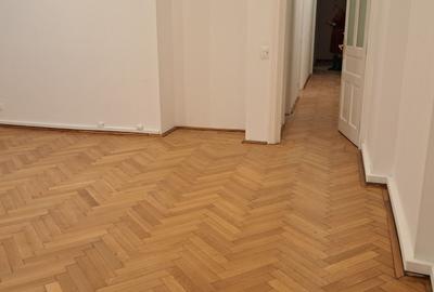 SPATIU DISTINCTIV IN VILA ISTORICA - 10