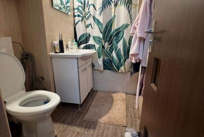 Apartament cu 3 camere mobilat si utilat-etaj 2-mobilat si utilat-zona Lipovei - 19