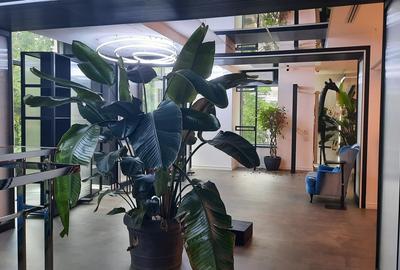Bd Unirii, spatiu comercial 403 mp, de inchiriat - 2