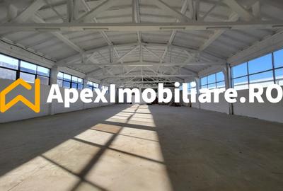Hala Industriala Xenia – 1800 mp, Acces TIR, Parcare 50 Auto - 7