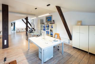 DOMENII-SPATII GENEROASE-DISPONIBIL IMEDIAT - 12