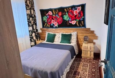 Cabana duplex rustică, 100 m de Pârtia de Ski Cavnic! - 20