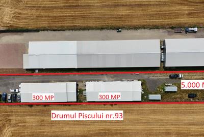 Spațiu industrial, de 600.00 mp, în Ciolpani