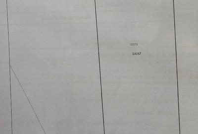 Teren Construcții intravilan de 3000 mp, în Albești