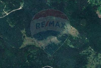 COMISION 0% | Teren 23.000 mp | Extravilan | Râsnov - Pârâul rece - 4