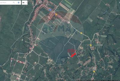 Teren Bran -Sohodol, Strada La mesteceni, 6900mp - 16