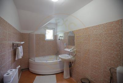 Pensiune in zona de munte-Baia de Fier - 11