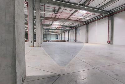 Spațiu industrial clasa A zona de Nord - 8