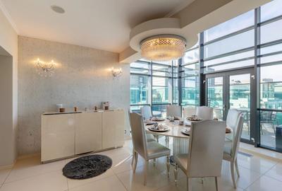 PENTHOUSE CU VEDERE PANORAMICA 258mp|| TERASE 215 MP || 3 LOCURI DE PARCARE - 6