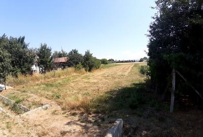 Teren intravilan 990 mp, construibil, intre case in zona linistita - 2