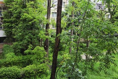 57000euro!!!Apartament 2 camere Tatarasi, etaj 2/4!!! - 3