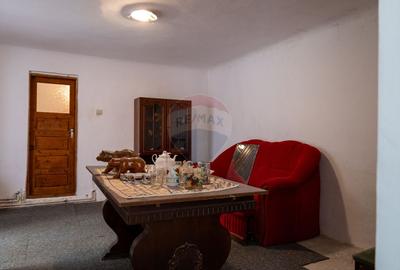 Andronache -vanzare casă si teren intravilan cu suprafata de 241 mp - 2