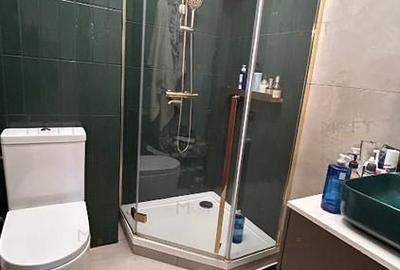 Apartament 4 Cam Herastrau+ gradina + 2 locuri parcare +boxa. Mobilat Lux - 7