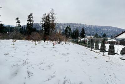 Teren intravilan - Sacele - Brasov - 2