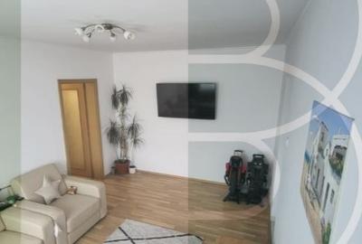 IANCULUI,Metrou VATRA Luminoasa PARCUL NATIONAL,Renovat, Mobilat,utilat modern - 1