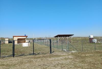 Vănd teren intravilan Partoș - 1