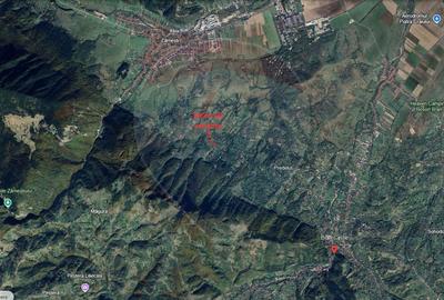Teren Bran-Zarnesti - Tohanita, 4223mp - 21