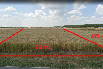 Teren Intravilan Constructii de 12.300 mp, Cu Deschidere la Sosea Asfaltata - 4