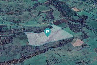 Teren arabil de 87 hectare în Bara, Timiș - 7