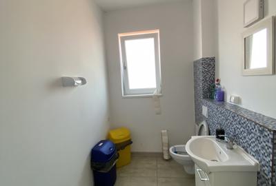 Birouri 20-250 mp zona Calea Dumbravii Sibiu - 10
