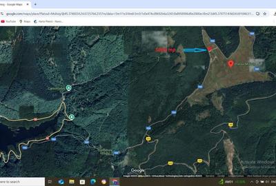 Vanzare teren 5000 mp Transfagarasan - Molivis - 4