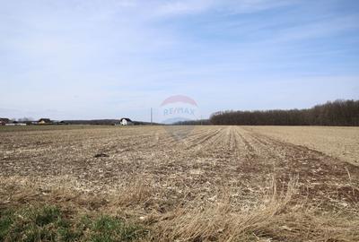 Teren 9,740mp Suceava / Strada Principala - 6
