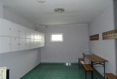Hala de inchiriat in Aradul Nou - 4