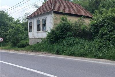Domeniu verde autentic,  +5.000mp, front la DJ, Valcele, Brasov -- Covasna - 13