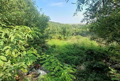 Teren intravilan, Sarata, 1.500mp - 1