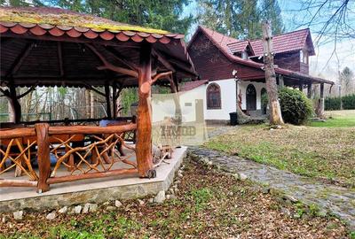 Refugiu rustic in natura – proprietate deosebita in Valea Avrigului – Sibiu - 4