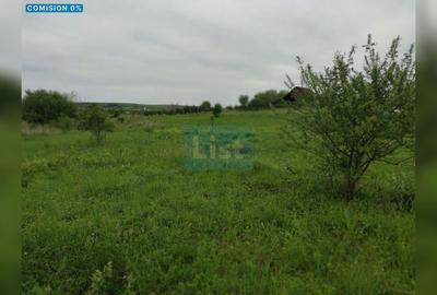 Comision 0%! Oportunitate, teren intravilan, 800 mp Masterplan, Sopor - 1