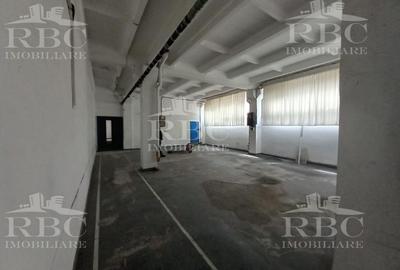 Spatiu de productie in incinta Clujana - 7