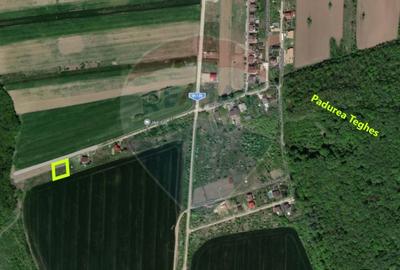 Teren intravilan de vanzare 500 mp, com Domnesti/Teghes - 1